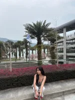 台北定點茶-糖小夏