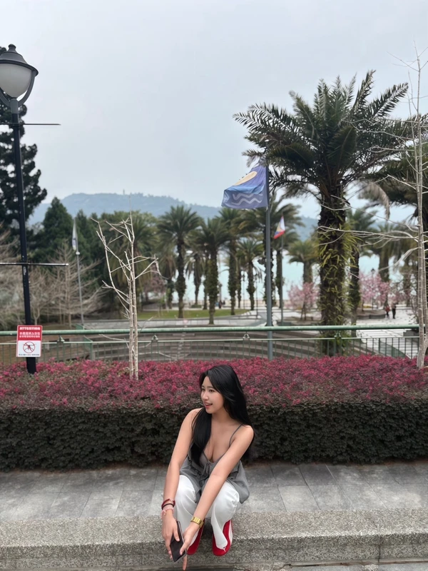 台北定點茶-糖小夏
