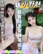 台南定點茶-小野魅